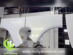 ハイパーボリック金属パネル 固体アルミニウム 建築正面