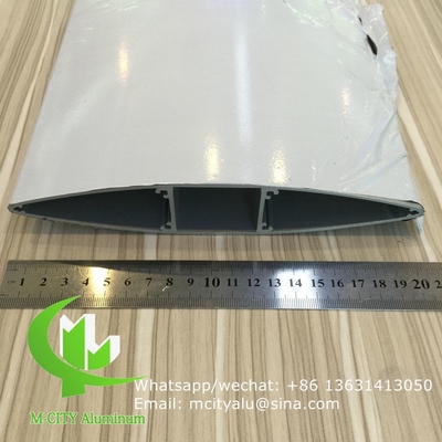 100mm水平 固定式 日光窓 建築用 翼型 アルミ窓 玄関カーテン壁用