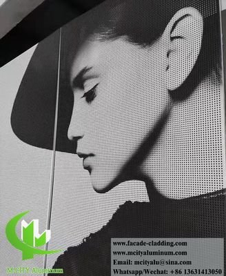 お買い得 壁被覆用のカスタマイズ可能なパターンと厚さ3mmの粉体塗装パンチングアルミニウムファサードパネル オンライン